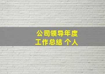 公司领导年度工作总结 个人